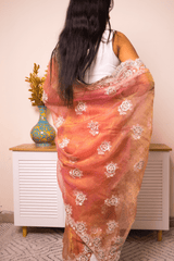 Lucknawi Chikankari Georgette Saree - IMG_0682