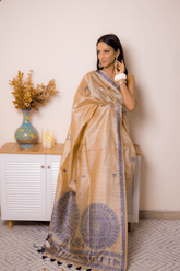 Elegant Lucknawi Chikankari Georgette Saree - IMG_0928