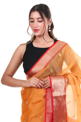 Amber Temple Chanderi