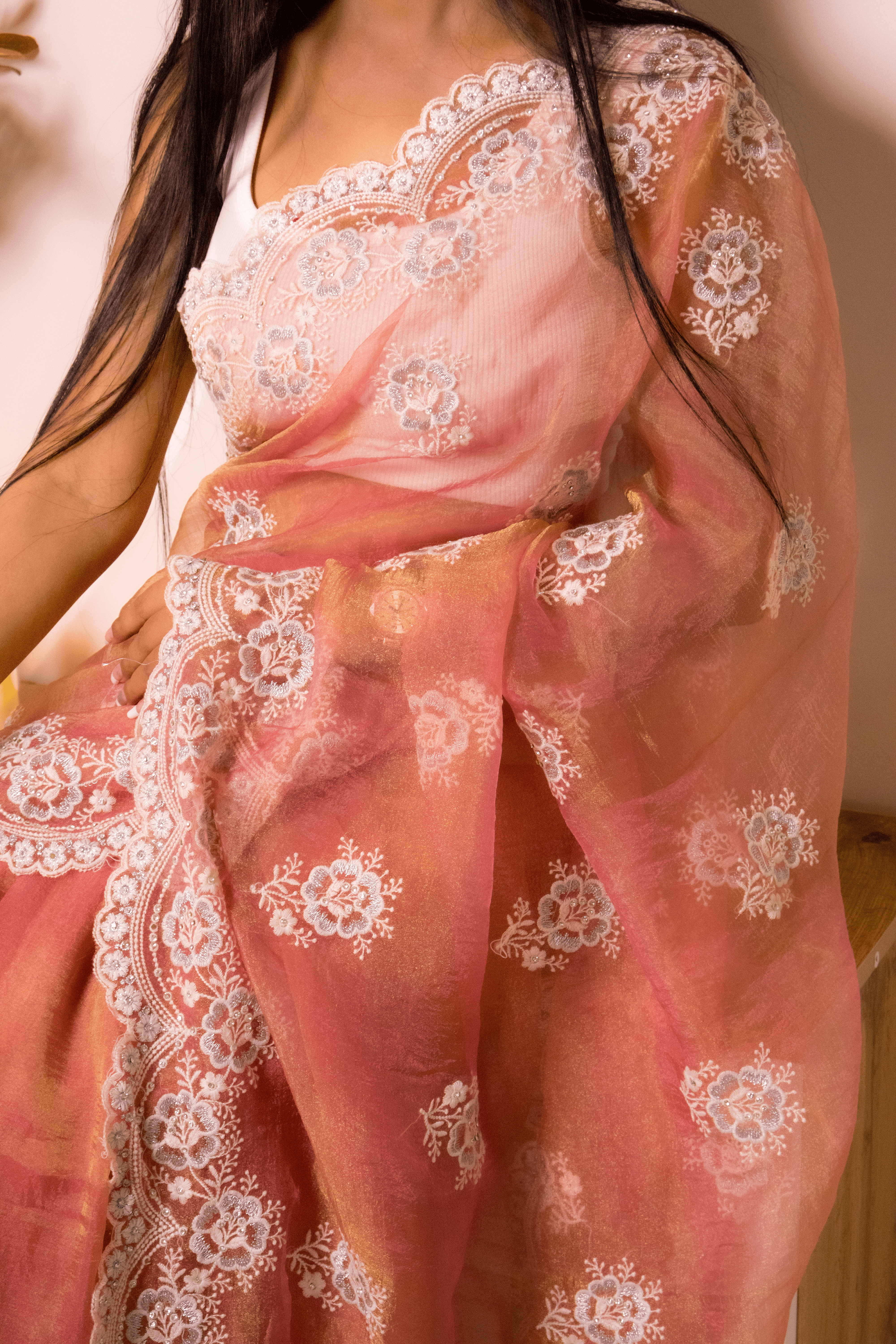 Lucknawi Chikankari Georgette Saree - IMG_0693