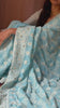 Lucknawi Chikankari Georgette Saree in Sky Blue